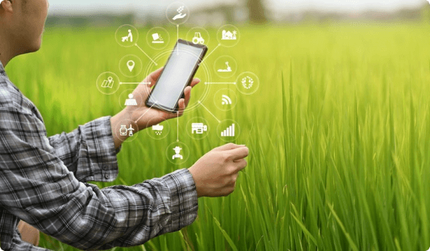 Dự Án 20 Ha Cà Phê Tại Lâm Đồng